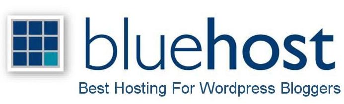 bluehost4